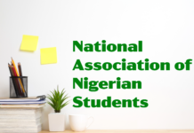 Spotlight on the National Association of Nigerian Students (NANS): The Voice of Nigerian Youth and Catalyst for Change