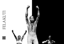 Fela Kuti Inducted into the Rock and Roll Hall of Fame: A Triumphant Recognition of Afrobeat’s Revolutionary King
